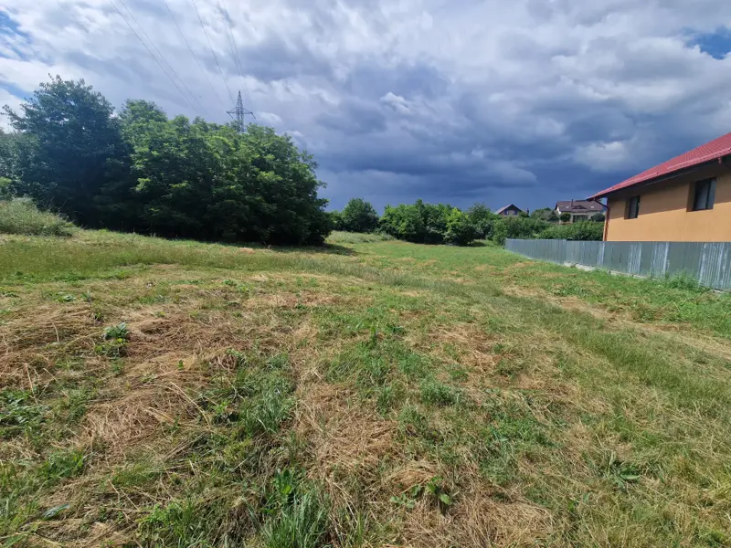 Teren intravilan 2926 mp. Ciritei Piatra Neamt
