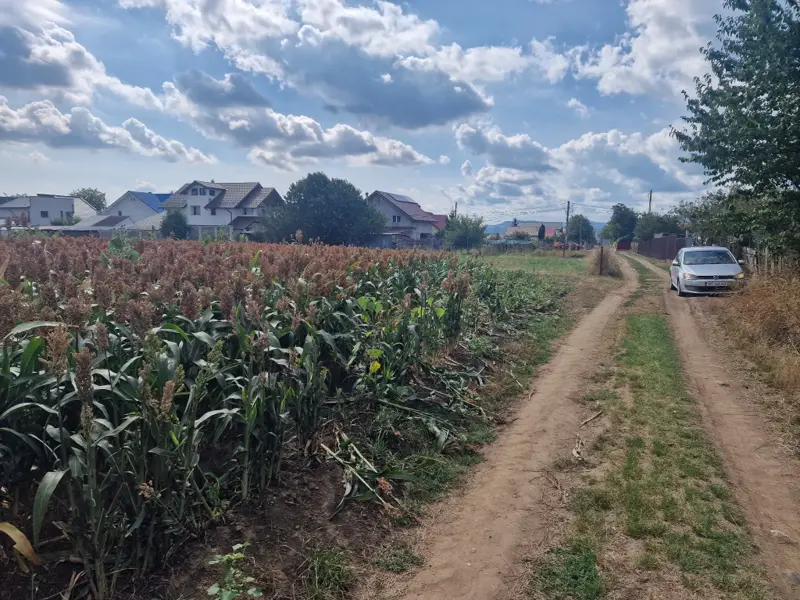 Teren intravilan 5786 mp,strada Bănci, zona Fermelor din Piatra Neamț.