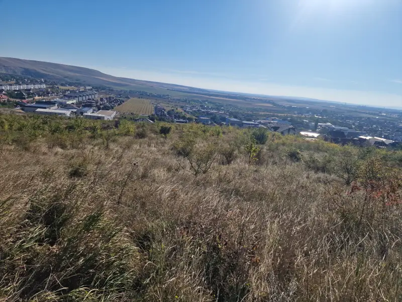 Teren intravilan 5000 mp zona Pietricica Piatra Neamt