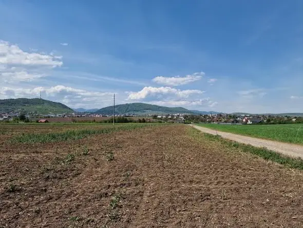 Teren intravilan in suprafata de 10.000 mp — Cartier Ciritei, Piatra Neamț